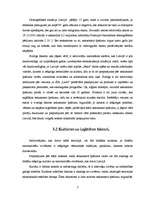 Referāts 'Tirgzinības plāns SIA "Latio"', 7.