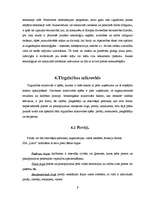 Referāts 'Tirgzinības plāns SIA "Latio"', 9.