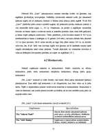 Referāts 'Tirgzinības plāns SIA "Latio"', 10.