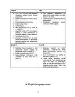 Referāts 'Tirgzinības plāns SIA "Latio"', 13.