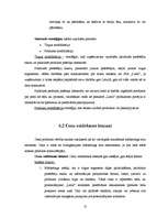 Referāts 'Tirgzinības plāns SIA "Latio"', 15.