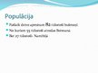 Prezentācija 'Bušmeņi', 3.