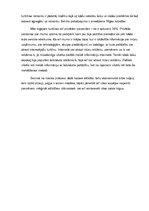 Eseja 'Starptautisks uzņēmums', 3.