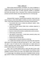 Referāts 'Starptautiskā Kafijas organizācija', 6.