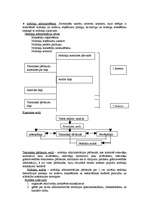 Konspekts 'Finanses', 4.