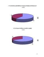 Referāts '2006.gada 9.Saeimas vēlēšanas', 35.