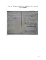 Referāts '2006.gada 9.Saeimas vēlēšanas', 39.