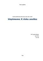 Referāts 'Uzņēmuma "X" risku analīze', 1.
