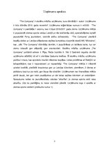 Biznesa plāns 'Ziemas sporta veidu biznesa plāns', 3.