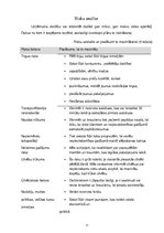 Biznesa plāns 'Ziemas sporta veidu biznesa plāns', 11.