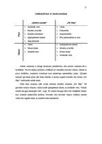 Referāts 'Cēsu mūzikas tirgus', 21.