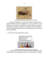 Referāts 'Reklāmas uztvere saistībā ar reklāmas mērķa un satura atbilstību', 29.