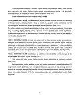 Diplomdarbs 'Depresijas līmeņa saistība ar alkohola lietošanu 15-16 gadus veciem zēniem', 10.