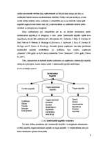 Referāts 'Intelektuālā kapitāla aizsardzība Latvijā', 6.