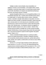 Referāts 'Intelektuālā kapitāla aizsardzība Latvijā', 17.