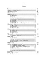Referāts 'Datorvīrusu klasifikācija', 2.