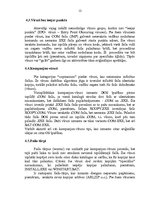 Referāts 'Datorvīrusu klasifikācija', 12.