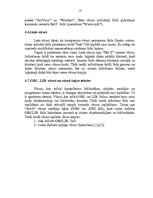 Referāts 'Datorvīrusu klasifikācija', 13.