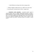 Referāts 'Datoru monitoru uzbūve un raksturlielumi', 12.