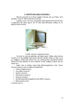 Referāts 'Datoru monitoru uzbūve un raksturlielumi', 13.