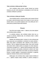 Referāts 'Video novērošana', 8.