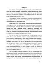 Referāts 'Latvijas Valsts tapšana', 28.