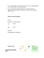 Konspekts 'Ģenētika', 3.