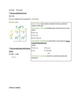 Konspekts 'Ģenētika', 4.