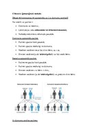 Konspekts 'Ģenētika', 6.