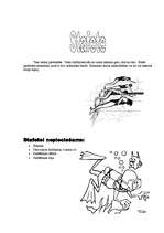 Konspekts 'Stafete peldēšanā', 2.