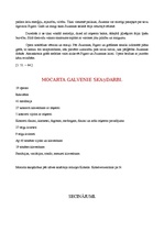 Referāts 'Volfgangs Amadejs Mocarts', 13.