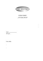 Biznesa plāns 'Biznesa plāns fotosalonam', 1.