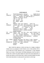 Biznesa plāns 'Biznesa plāns fotosalonam', 16.