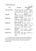 Biznesa plāns 'Biznesa plāns fotosalonam', 29.