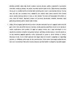 Referāts 'R.Blaumaņa stāsta "Pērkona negaiss" analīze', 3.