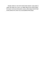 Eseja 'Regīnas Ezeras romāns "Aka"', 2.