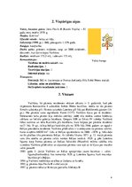 Referāts 'Vatikāns', 4.