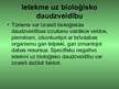 Prezentācija 'Tūrisma ietekme uz vidi', 3.