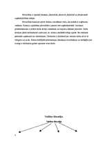 Referāts 'Personāla vadīšana', 4.