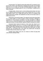 Eseja 'Uzņēmuma atrašanās vietas izvēle un tās raksturojums', 2.