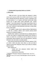 Referāts 'Korporācijas kā globalizācijas dalībnieki', 17.