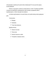 Referāts 'Baltinavas attīstības perspektīvas', 6.