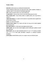 Referāts 'Automobiļa iekšdedzes dzinēja jaudas palielināšana', 6.