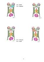 Referāts 'Automobiļa iekšdedzes dzinēja jaudas palielināšana', 9.