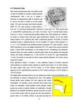 Referāts 'Automobiļa iekšdedzes dzinēja jaudas palielināšana', 16.