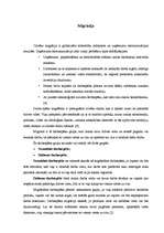 Referāts 'Migrācija', 1.