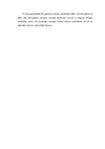 Diplomdarbs 'SIA "X" komercdarbības analīze', 18.