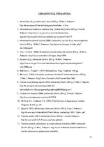 Diplomdarbs 'SIA "X" komercdarbības analīze', 72.