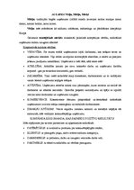 Referāts 'AS "Laima" izvērtējums pēc EFQM izcilības modeļa', 3.