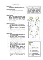 Konspekts 'Stafete sportā', 1.